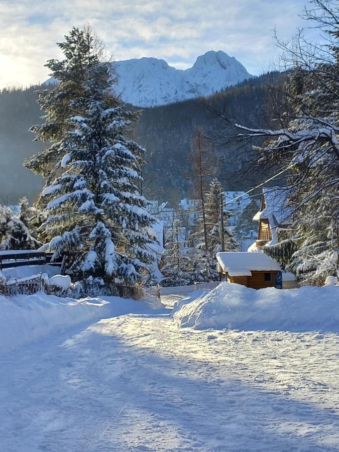 U Tylki Studio Z Widokiem Na Gory Zakopane Exterior photo