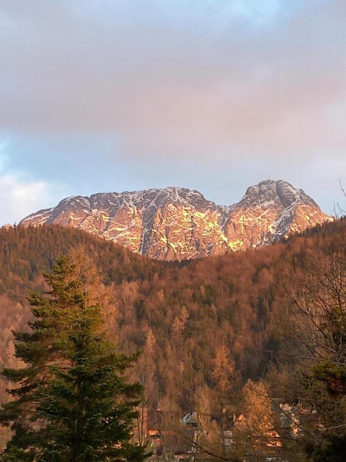 U Tylki Studio Z Widokiem Na Gory Zakopane Exterior photo